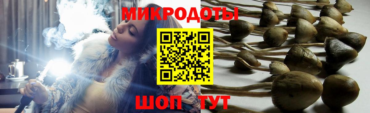Галлюциногенные грибы Magic Shrooms Мурманск